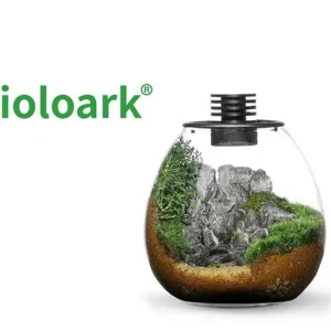 Jetzt Bestellen Bioloark Bio Bottle PD170 Wabi-Kusa / Biosphäre, Kugelvase